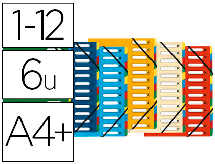 TRIEUR EXACOMPTA HARMONIKA CARTE LUSTRE 5.5/10E A4+ 12 COMPARTIMENTS  FENTRES LASTIQUES DOS EXTENSIBLE