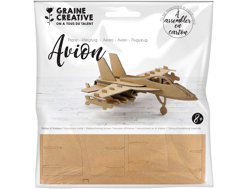 MAQUETTE AVION GRAINE CREATIVE CARTON A ASSSEMBLER  DECORER PERSONNALISER         150X150MM